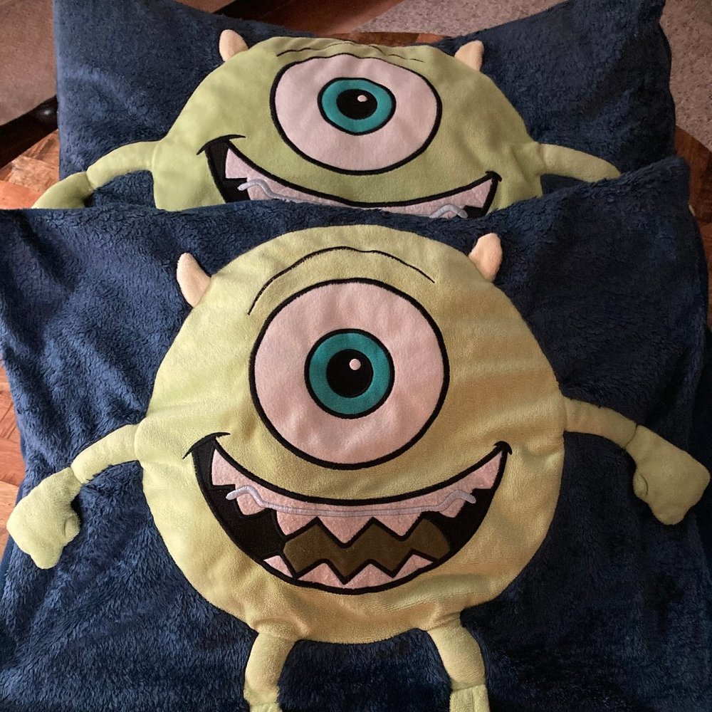 Childs Pillowcases - set of 2 -  FUN